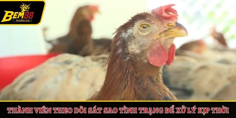 Thành viên theo dõi sát sao tình trạng để xử lý kịp thời