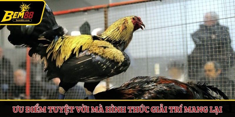 Ưu điểm tuyệt vời mà hình thức giải trí mang lại