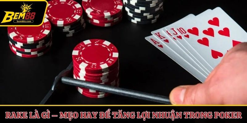 Rake là gì