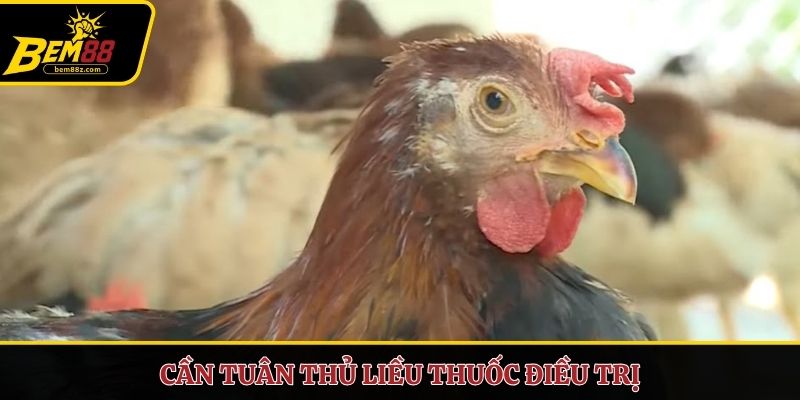 Cần tuân thủ liều thuốc điều trị
