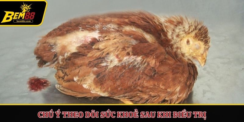 Chú ý theo dõi sức khoẻ sau khi điều trị