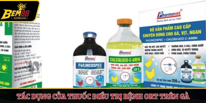 Tác dụng của thuốc điều trị bệnh ORT trên gà